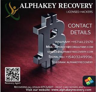 A LICENSED CRYPTO RECOVERY HACKER EXPERT TO CONTACT IS ALPHA KEY.